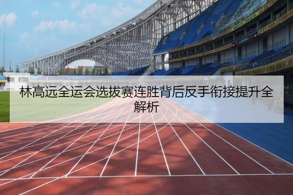 林高远全运会选拔赛连胜背后反手衔接提升全解析